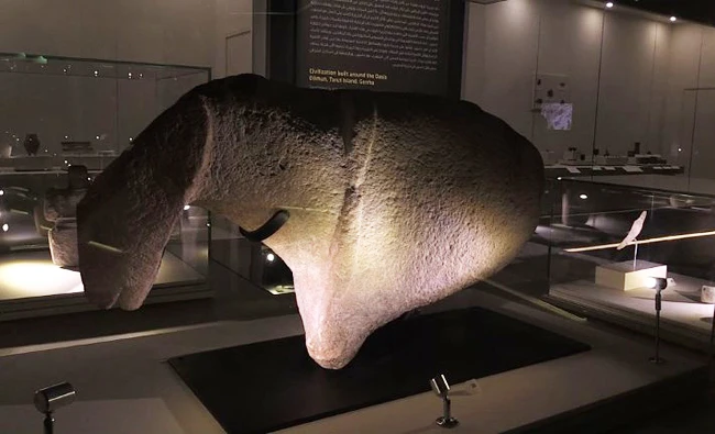Archaeological discoveries in various parts of Saudi Arabia announced