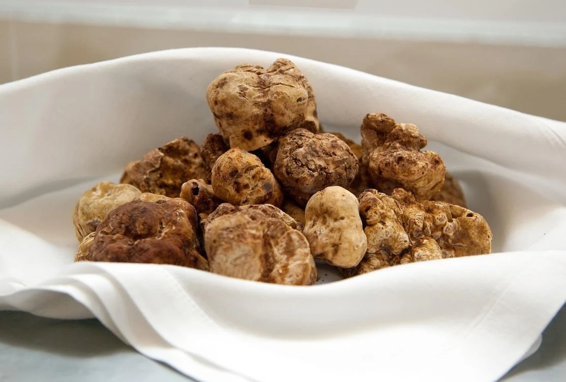 Billed as the first in the Mideast, truffle auction raises over $17,000 for charity