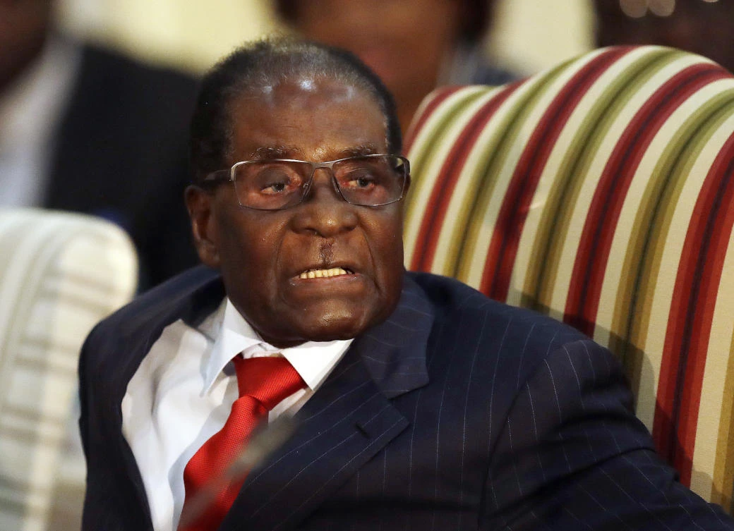 Zimbabwean President Robert Mugabe introduces his cabinet minister during his meeting with South African President Jacob Zuma at the Presidential Guesthouse in Pretoria, South Africa. (AP)