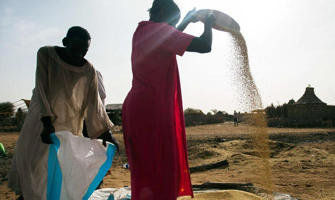 United Nations-African Union Mission in Darfur (UNAMID) shows displaced people collecting millet they had stored underground in Khor Abeche, South Darfur. (File photo/AFP)