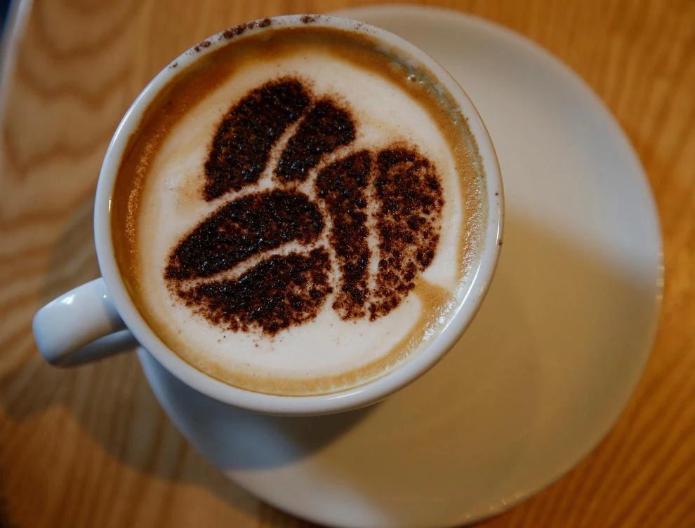 A Cappuccino stands on a table at a branch of Costa coffee in Manchester, Britain, on March 18, 2016. (REUTERS/Phil Noble/File Photo)