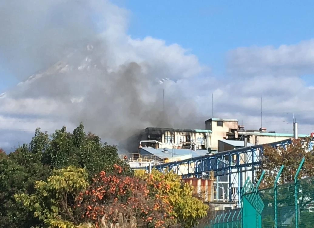 Smoke rises from a factory belonging to Arakawa Chemical Industries, which manufactures chemicals for the paper industry, after an explosion and fire broke out in the facility. (Jiji Press / AFP)