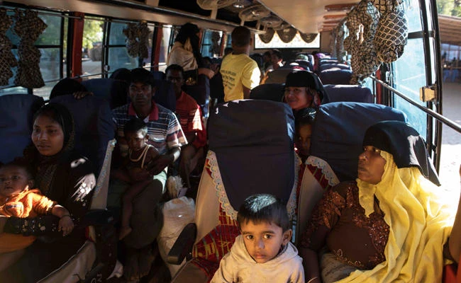 Urgent action needed to protect Rohingya refugees from sex trade