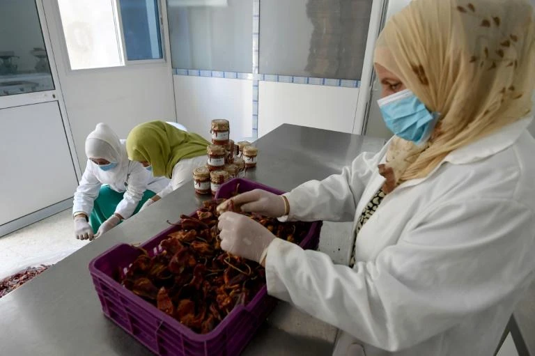 A group of women farmers in Menzel Mhiri near Kerouan in rural central Tunisia banded together in 2013 to form a cooperative and marketed their harissa under the “Errim” trade name. (AFP)