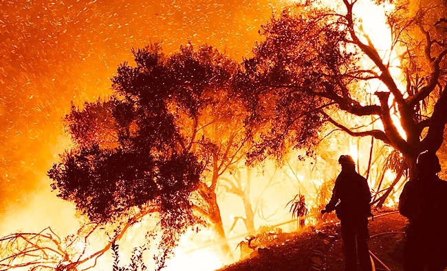 In this Dec. 10, 2017 photo released by Santa Barbara County Fire Department firefighters knock down flames as they advance on homes atop Shepherd Mesa Road in Carpinteria, Calif. (AP)