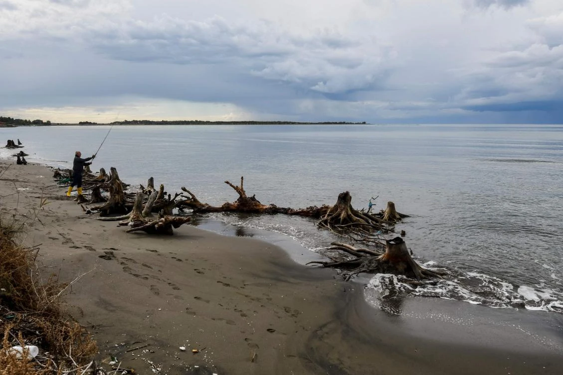 A fisherman fishes from a shore washed with tree trunks and roots, in Kune, Lezhe on November 8, 2017. (AFP)