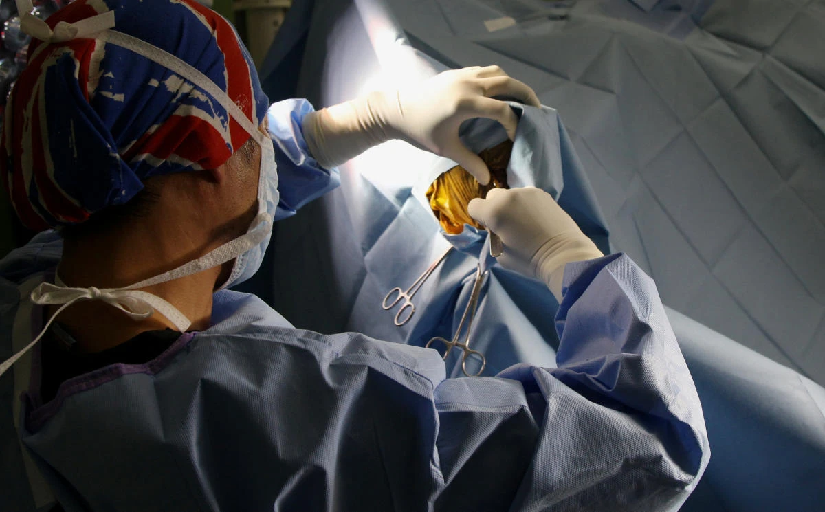 Dr Cedric Chan conducts a foot surgery on a camel at the Dubai Camel Hospital in Dubai. (Reuters)