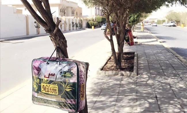 Blankets hanging on trees in Riyadh.