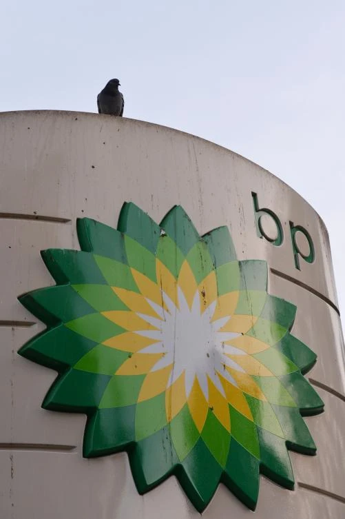 A pigeon rests on a BP sign outside a filling station in central London. (AFP/Carl Court)