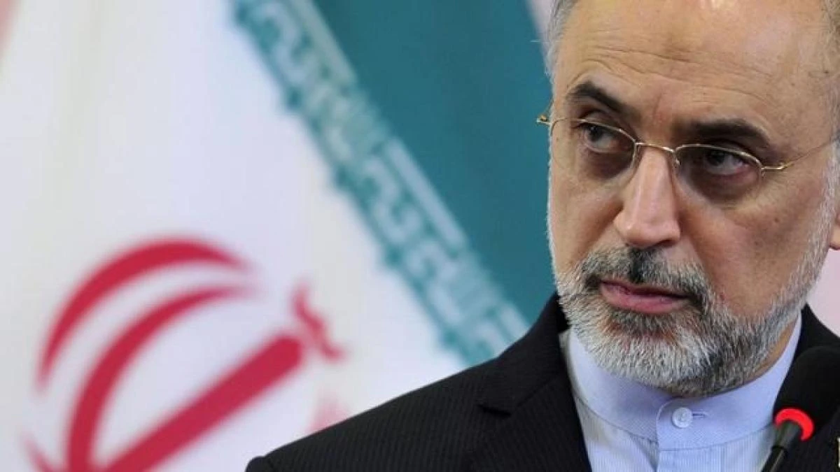 Ali Akbar Salehi, the vice president of Iran and the head of Iran’s atomic energy organization. (Reuters)