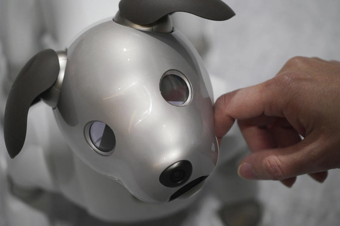 A guest pets Sony’s new Aibo robot at a Sony show room in Tokyo Thursday, Jan. 11, 2018. New Aibo is on sale from Jan. 11 in Japan. (AP/Eugene Hoshiko)