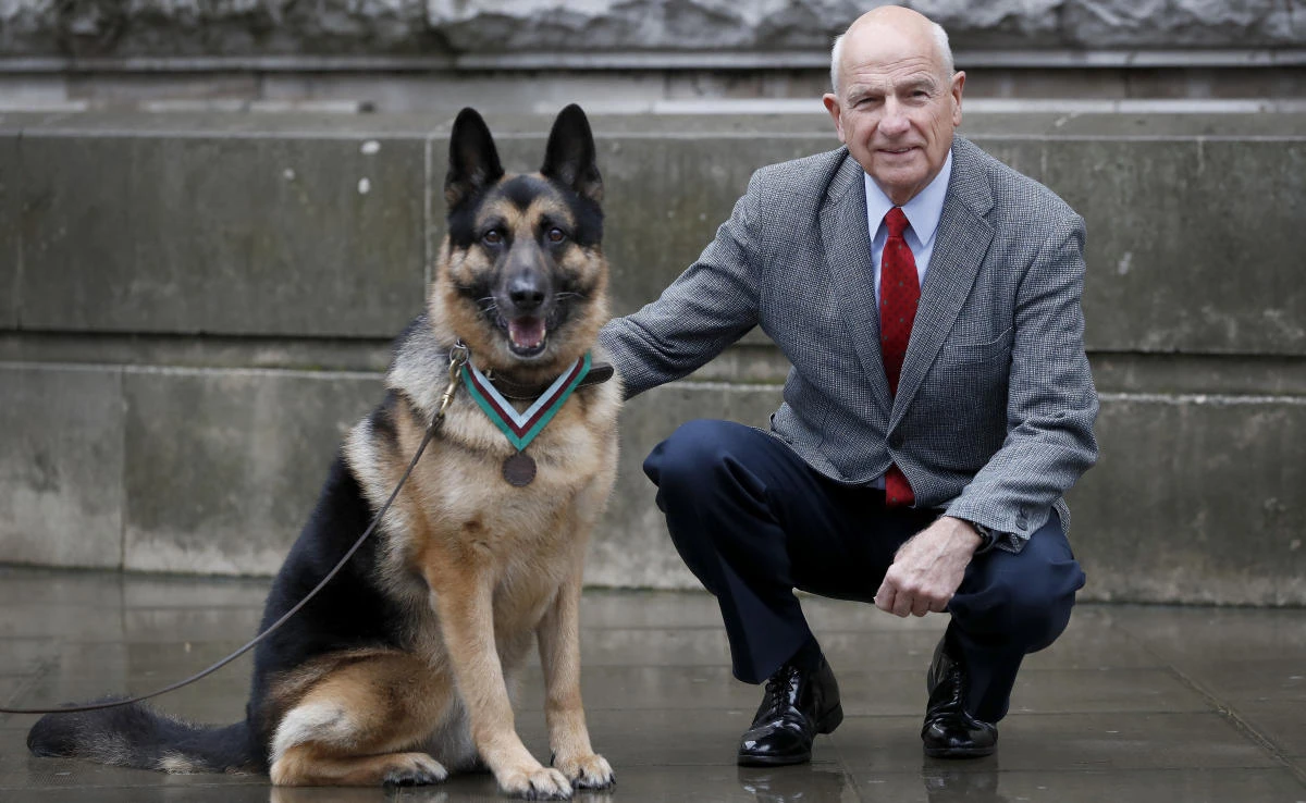 John Wren from New York, who was 4 years old when Chips the family pet dog returned from the war effort, with Military working dog Ayron who received the PDSA Dickin Medal, the animal equivalent of the Victoria Cross, on Chips’ behalf, in London, Monday, Jan. 15, 2018. (AP)