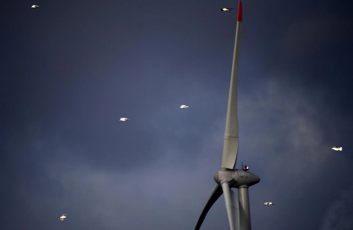 India will need at least $125 billion to fund its ambitious plan to increase the share of renewable power supply in the country’s grid by 2022, according to a government official. (AFP)