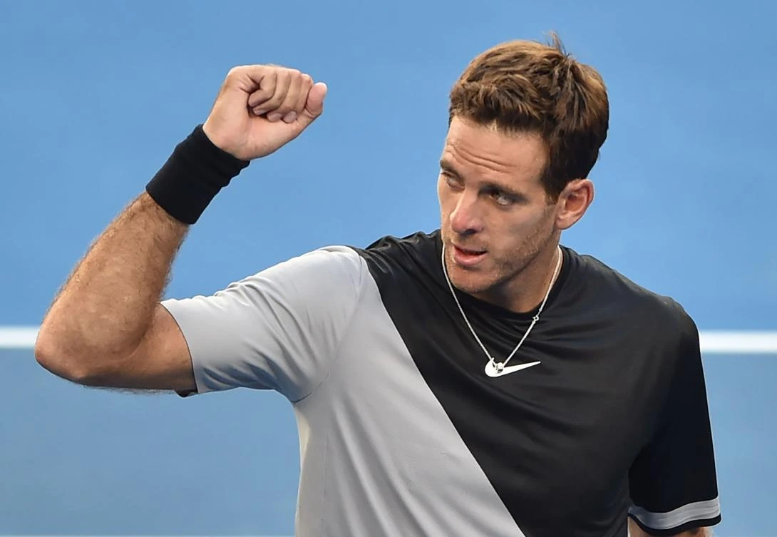 Argentina's Juan Martin del Potro celebrates after victory against Russia's Karen Khachanov in their men's singles second round match on day four of the Australian Open. (AFP)