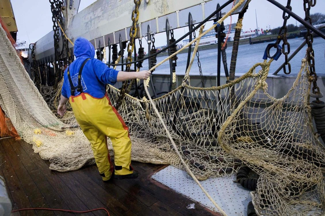 Dutch shocked by call to ban EU electric pulse fishing