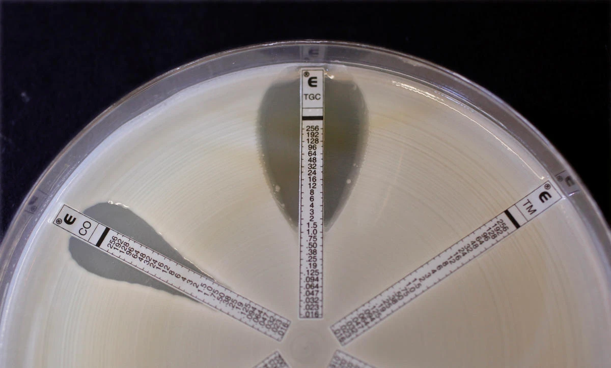 Southeast Asia a ‘hotspot’ for antibiotic abuse, FAO official says