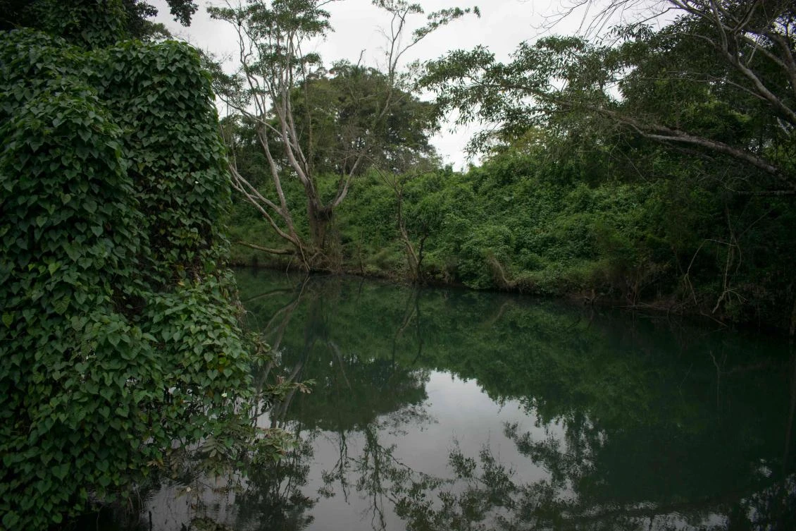 A view of the Mopan River in the municipality of Melchor de Mencos, Peten department, 300 km north of Guatemala City, on January 19, 2018. Threatened by deforestation and the trafficking of species, the Maya Biosphere Reserve in Guatemala will begin to be monitored using satellite technology that is new to Latin America, to curb the destruction of thousands of hectares of forests every year. (AFP / CARLOS ALONZO)
