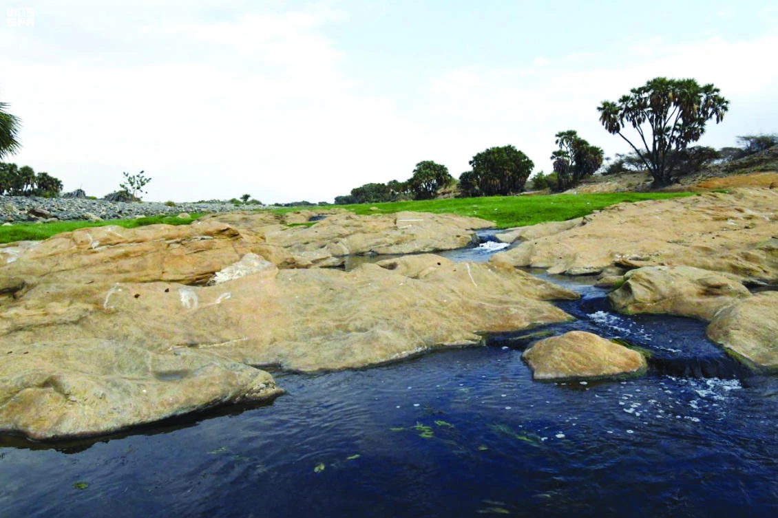 Lying between a romantic sandy beach and the Al-Reem Valley, with its enchanted creeks and evergreen trees, the sub-governorate of Al-Shuqaiq located in the Ad-Darb governorate, is one of the best tourist attractions. (SPA)