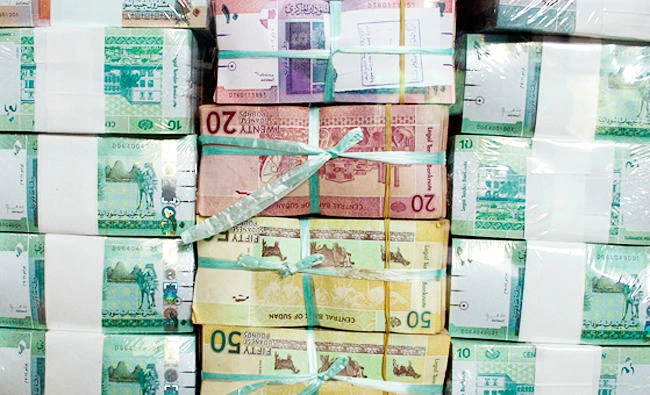 Sudan devalues pound to 30 against US dollar