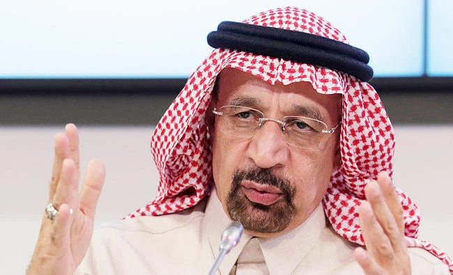 Mineral resources remain key to Vision 2030 success: Al-Falih