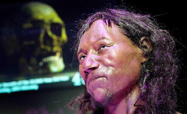 A full face reconstruction model made from a skull of a 10,000 year old man, Britain's oldest complete skeleton is pictured during a press preview at the National History Museum in London on Tuesday. (AFP)