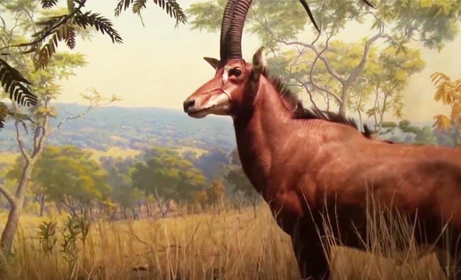 ’Unseen’ museum exhibit to depict glow-in-the-dark creatures