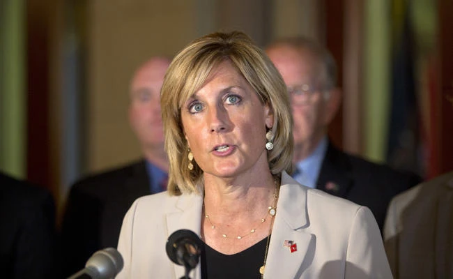 In this June 10, 2015 file photo, assemblywoman Claudia Tenney speaks during a news conference at the Capitol, in Albany, New York. (AP Photo/Mike Groll, File)