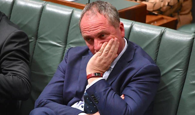 Australian deputy prime minister resigns after affair with staffer