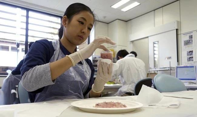 A lab technician at the Fukushima Agricultural Technology Center, which monitors safety in farm and fisheries products from across the prefecture, fills mashed-up fish meat with a plastic cup to measure radiation levels in Koriyama city, in this October 2017 photo. (AP)