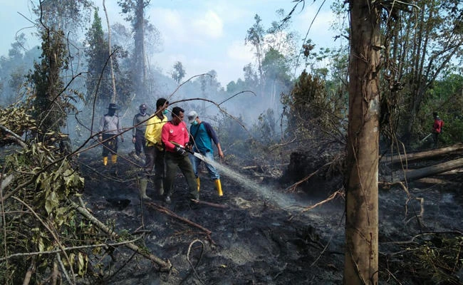 Haze from Indonesia forest fires 'unlikely to affect' Singapore, Malaysia