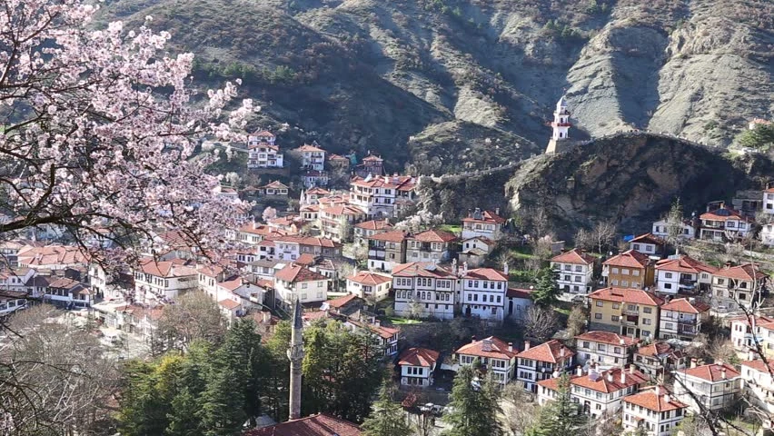 Four people have been killed and five wounded in a fight that erupted within the same family in the western Turkish region of Bolu. (Shutterstock)