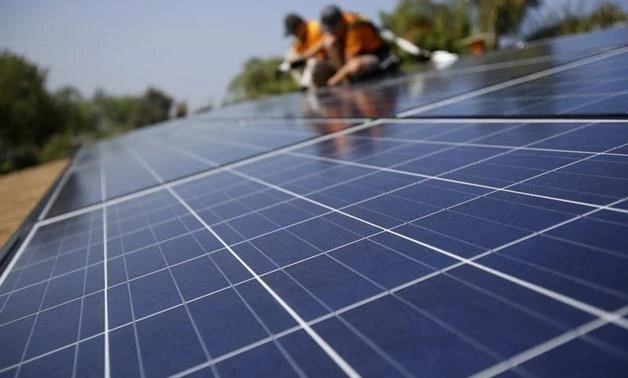 File photo of solar plants (REUTERS)