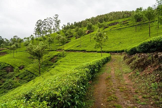 Titles alone do not make Indians feel secure about property, analysts say