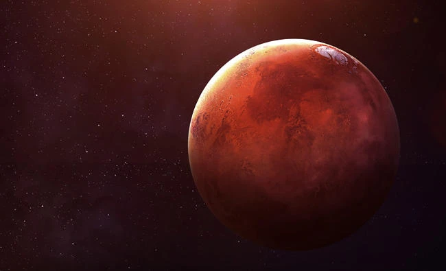Dormant desert life hints at possibilities on Mars
