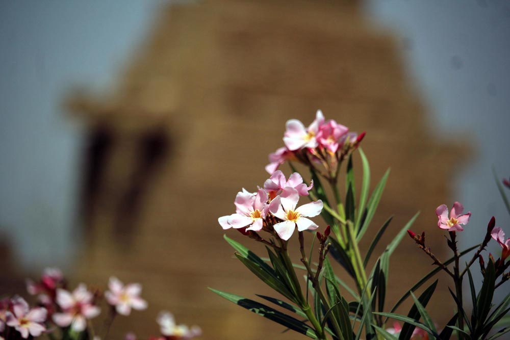 Chaukhandi tombs are situated some 29 kilometers east of Karachi (Photo Arab News/ M.F. Sabir)
