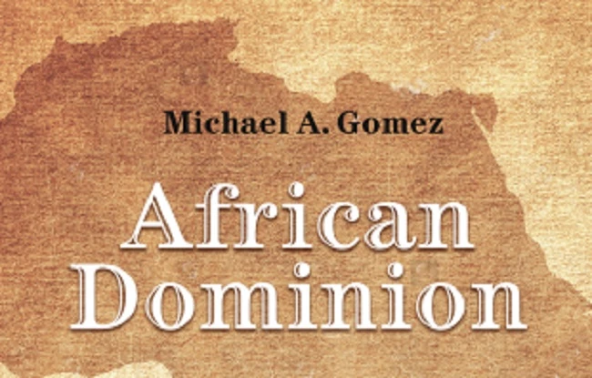 “African Dominion: A New History of Empire in Early and Medieval West Africa” sheds new light on the golden empires that controlled the West African interior.