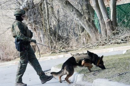 Police search neighborhoods near Central Michigan University for a 19-year-old student suspected of killing his parents at a dormitory and then running from campus. (AP)