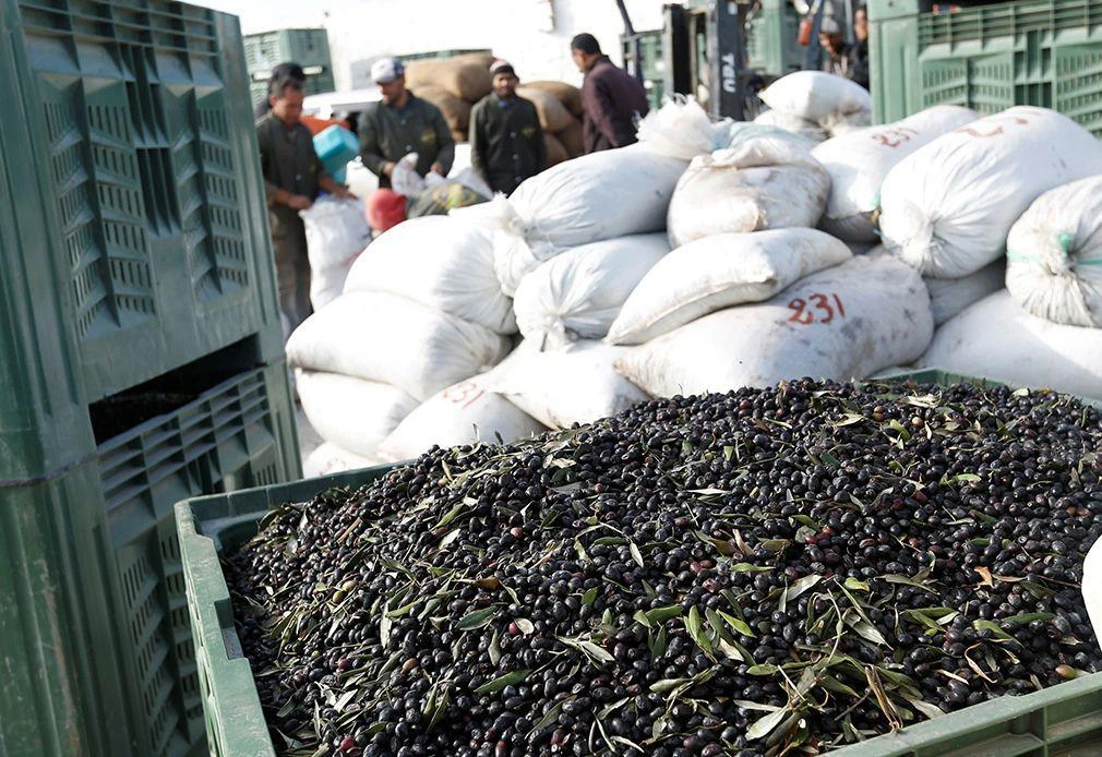 The Central Bank of Tunisia expects foreign currency reserves to rise soon due to expected revenues from the sale of olive oil and other goods. (Reuters)