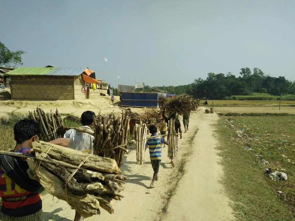 Elephant attacks in Bangladesh leave Rohingya refugees fearing for their lives