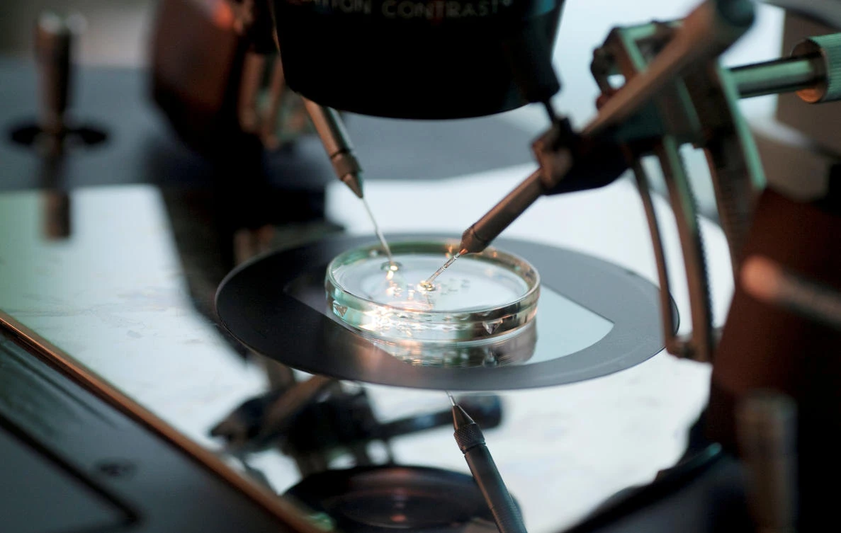 Sperm is injected directly into an egg during IVF procedure called Intracytoplasmic Sperm Injection at Novum clinic in Warsaw. (Reuters/Kacper Pempel/File Photo)