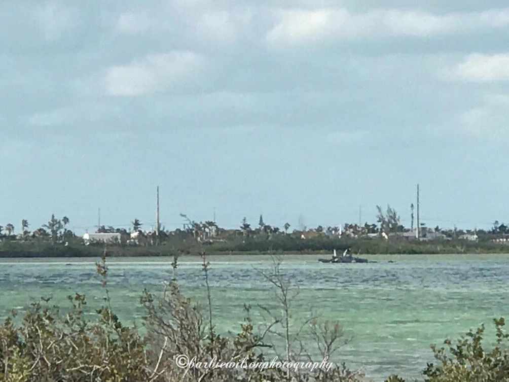Above, the F/A-18F Super Hornet which crashed during a training flight off the coast of Key West, Florida. (Reuters)