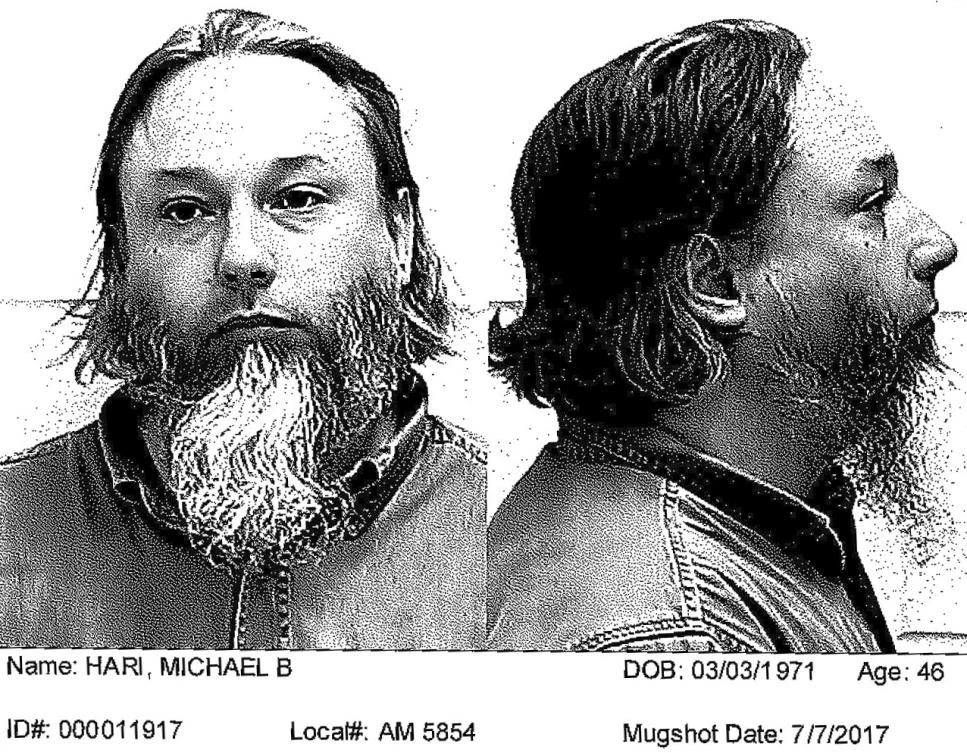 Alleged leader of Minnesota mosque bombing intended to scare Muslims into leaving US