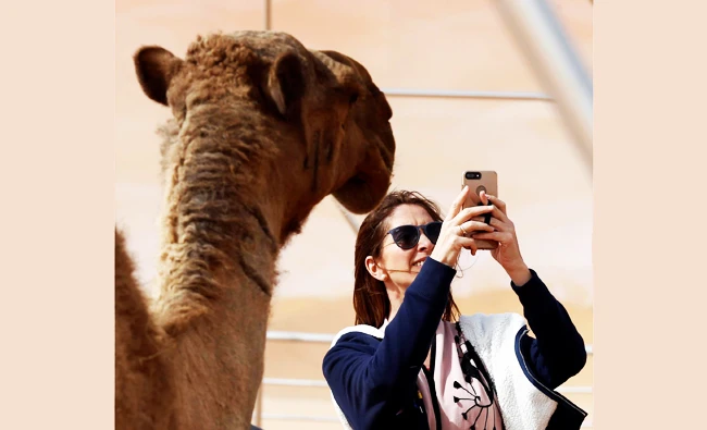 A woman takes a selfie as she stands next to a camel during King Abdulaziz Camel Festival in Rimah Governorate, north-east of Riyadh, Saudi Arabia, in this January 19, 2018 photo. (REUTERS)