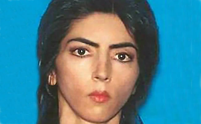 YouTube shooter warned of ‘injustice and disease’ in online screeds