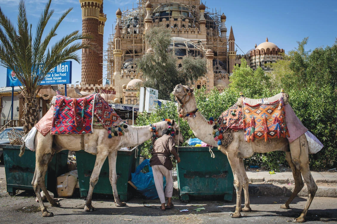 Sinai resorts pin hopes on Russia’s return