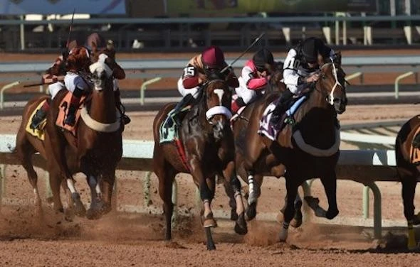 Jockeys compete at the King Abdulaziz Racetrack in Riyadh, on the track that will host what is likely to be the world's richest horse race next February. (AFP)