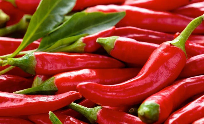 World’s hottest chilli pepper gives man ‘thunderclap’ headaches