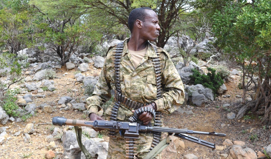 Somalia’s Puntland region asks UAE to stay