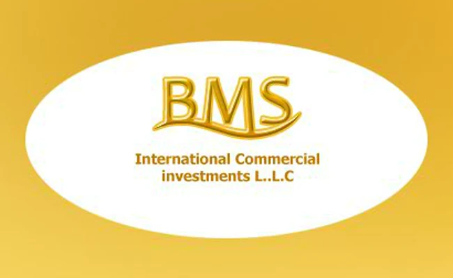 UAE’s BMS International Commercial Investment interested in investing $3bn in Pakistan
