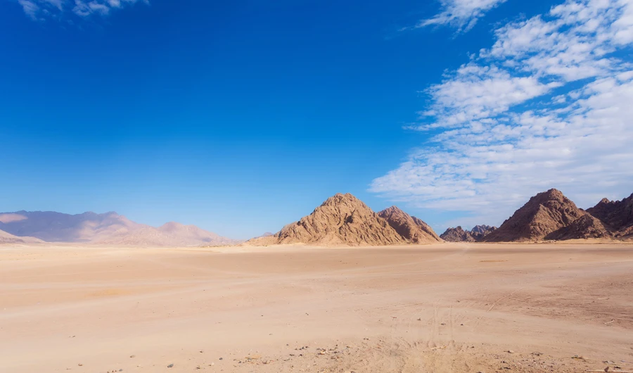 Gathering in Riyadh, environmental experts search for radical solution to desertification